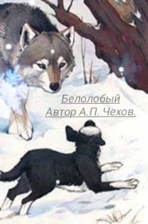 Чехов Антон – Белолобый