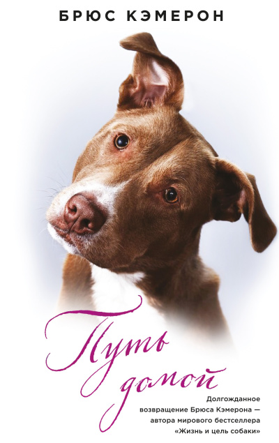 Кэмерон Брюс – Путь домой